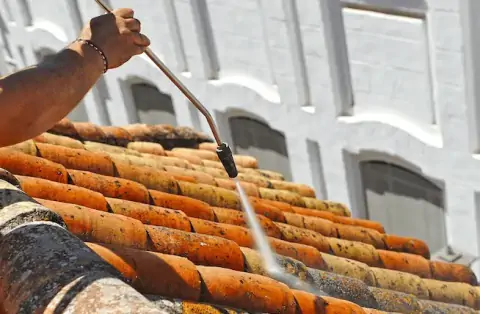 Nettoyage de toitures - Douadic